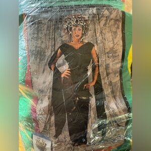Medusa costume (dress and headpiece)  fits up to a size 16.